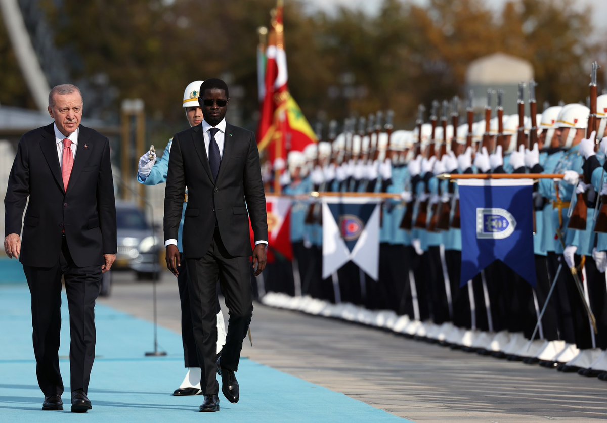 SN SOFT POWER tweet media