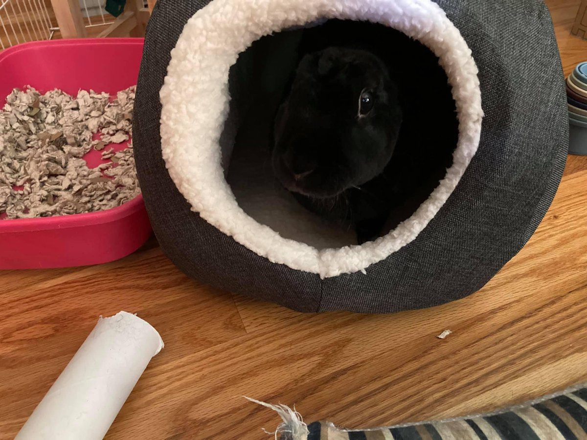 Ann Walton tweet media