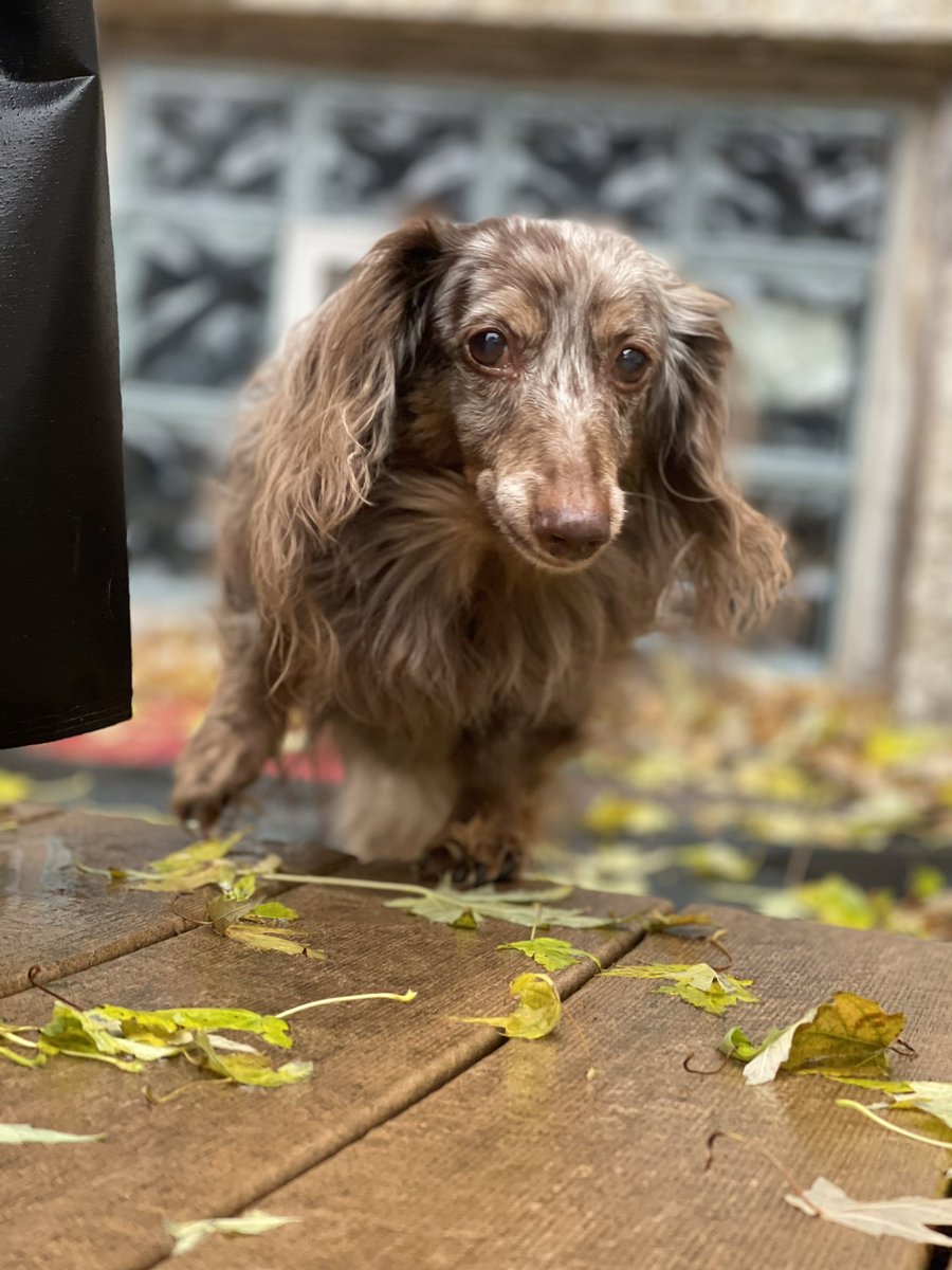 Vorthos Mike tweet media