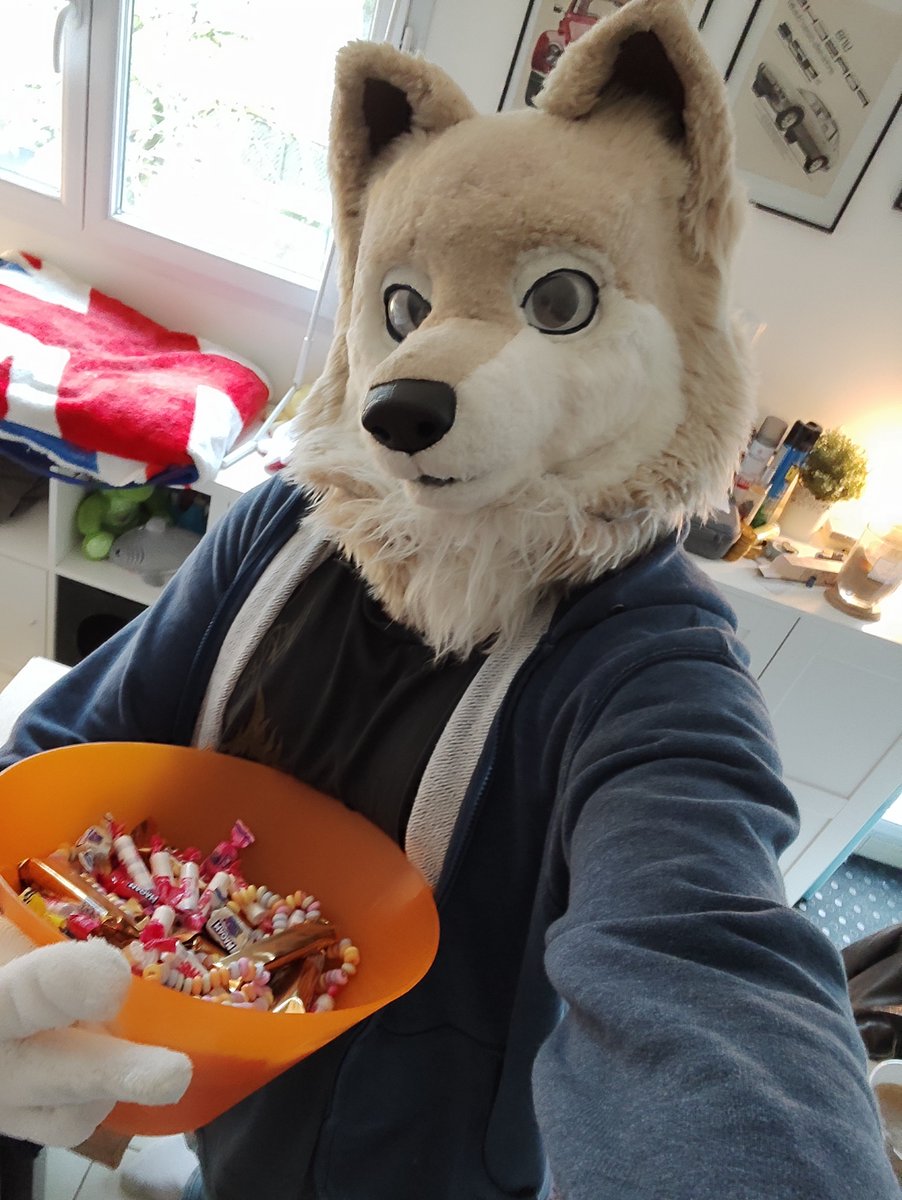 I'm ready for da spooky guys
My blood sugar increases just by holding that thing X)
#FursuitEveryday #fursuiting #Halloween
