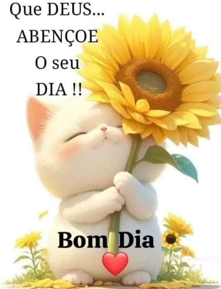 Elisabe87565174's tweet photo. @Subtenqueiroz https://t.co/MAHpQfz5kr