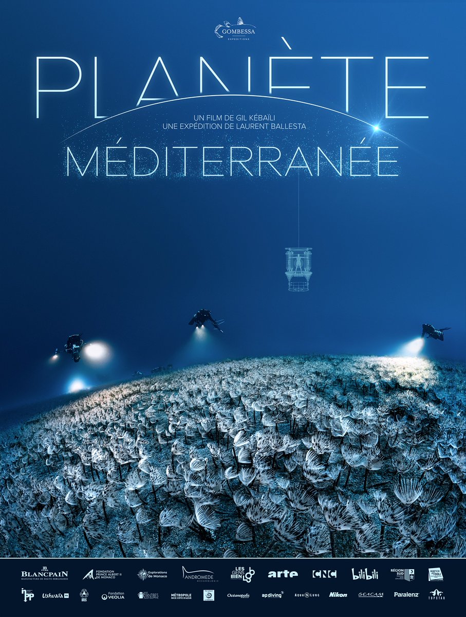 En novembre, c'est le mois du doc. Narbo Via y participe pour la première fois.

Découvrez notre programmation sur narbovia.fr/evenement/le-m…

#documentaire #narbovia #musee