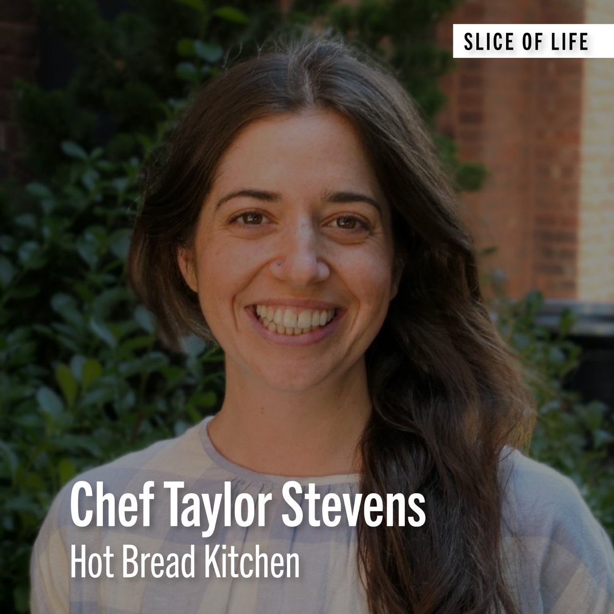 MERCER CULINARY tweet media