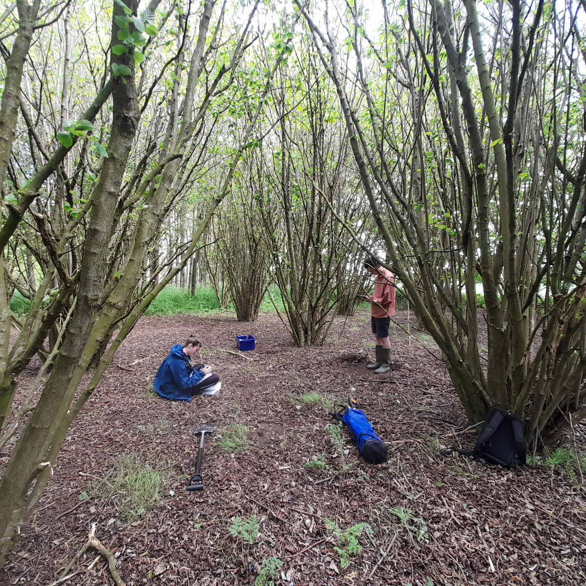 chapmanpippa's tweet photo. Congratulations to Josiah Judson on publication of his first paper from his PhD on #agroforestry @geojho @marcelogaldos @rbpmleeds @SoGLeeds 
Impacts of arable reforestation on soil carbon and nutrients are depen... https://t.co/shUdW8TUYF https://t.co/38juQK3fBr