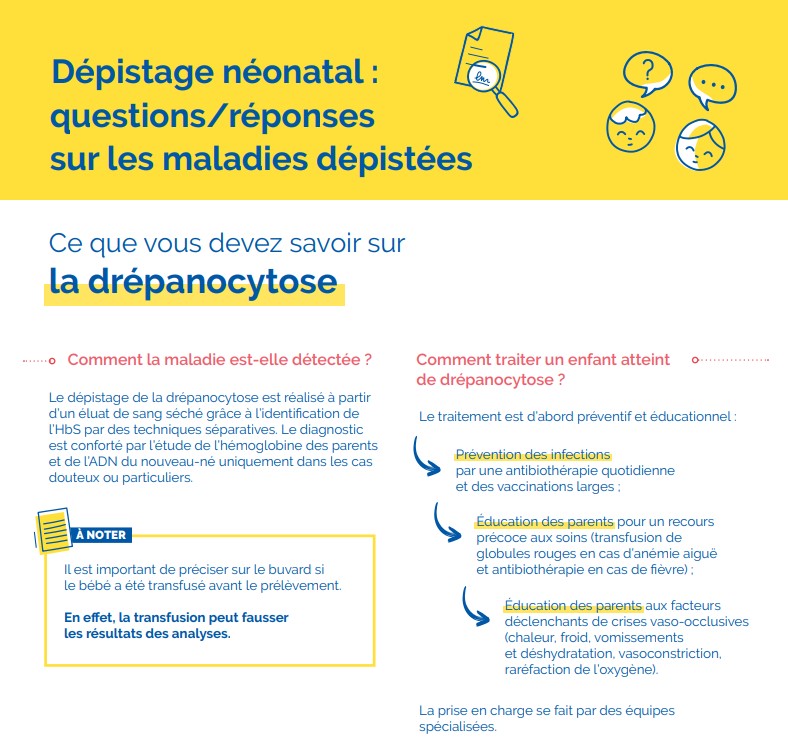 🔎À partir du 1er novembre 2024, le dépistage de la #drépanocytose est généralisé à tous les nouveau-nés, renforçant le programme national de dépistage néonatal. Une étape-clé pour détecter précocement cette maladie génétique #DépistageNéonatal bit.ly/3YwuVr5