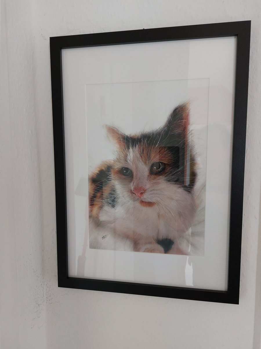 Hi, can anyone who follows me please take the time to re-post this, just trying to get more awareness, it would be much appreciated. Thanks for following, and thanks for reading,liking, and re posting previous posts.
Commissions open. Thankyou, Andrew.