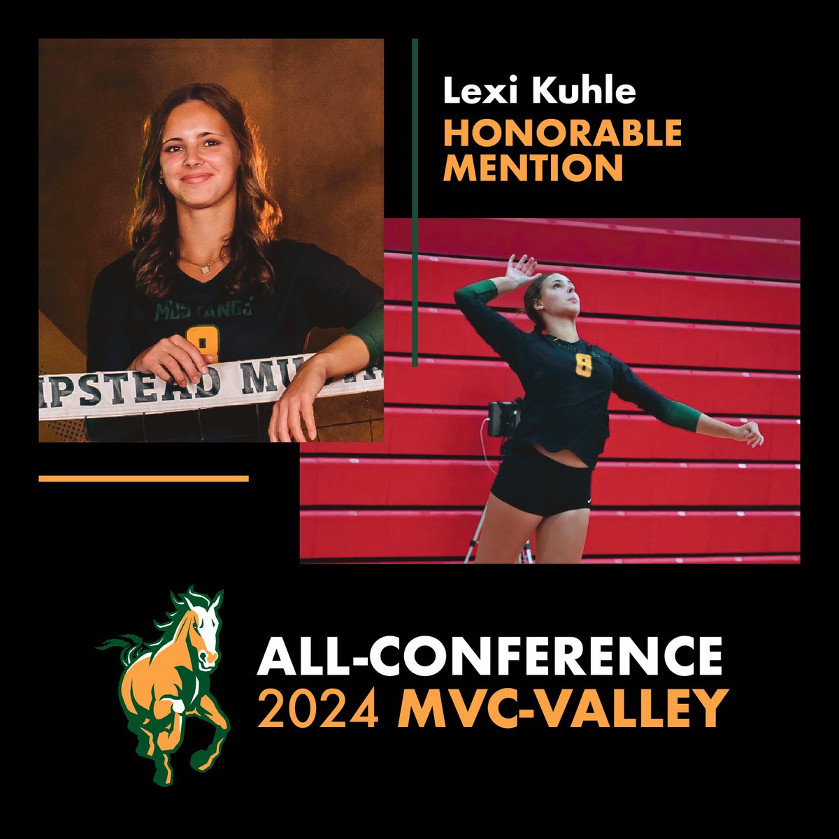 Hempstead Volleyball tweet media