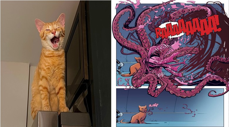 CharlesBush10's tweet photo. Birthday/Halloween post 🎃 My flerken Goose living his best life with his BFF Carol Danvers AKA #CaptainMarvel new BFF Kamala Khan AKA #MsMarvel and in all his flerken #MarvelComics accurate glory 🐈 👽 https://t.co/YOXiXEUh80