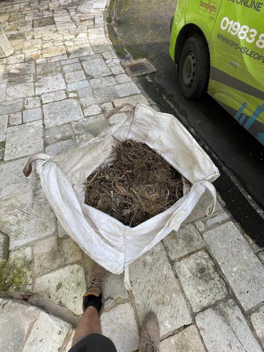 ipsiow's tweet photo. Bird nests cleared safely in Bembridge! Our team uses specialist CCTV to ensure all debris is removed.

Signs of a nest: 
1️⃣ Noises from your chimney 
2️⃣ Twigs &amp; debris at the opening 
3️⃣ Frequent bird activity

Avoid blockages &amp; stay safe! Call us: 01983 866830 📞 https://t.co/Hlt86SjIrV