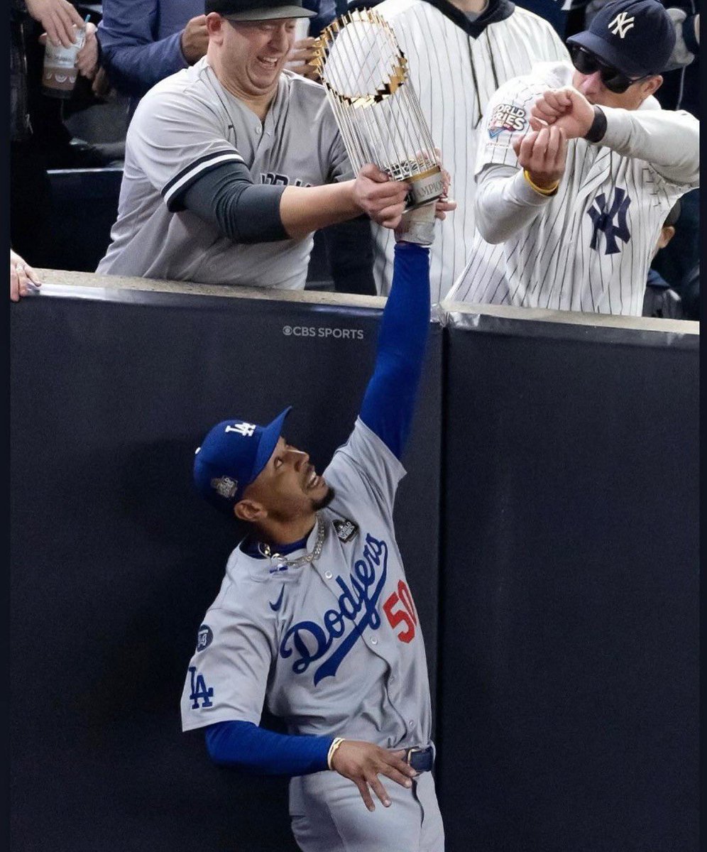 Bone of Contention (@bone_contention) on Twitter photo 