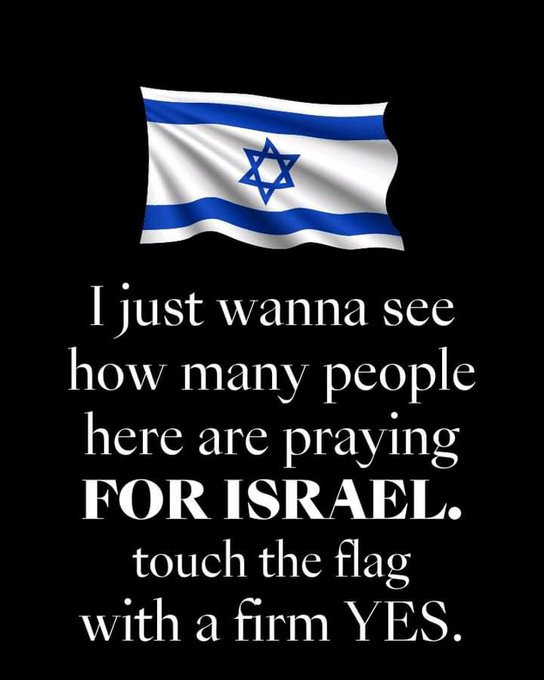 Vivid.🇮🇱 tweet media