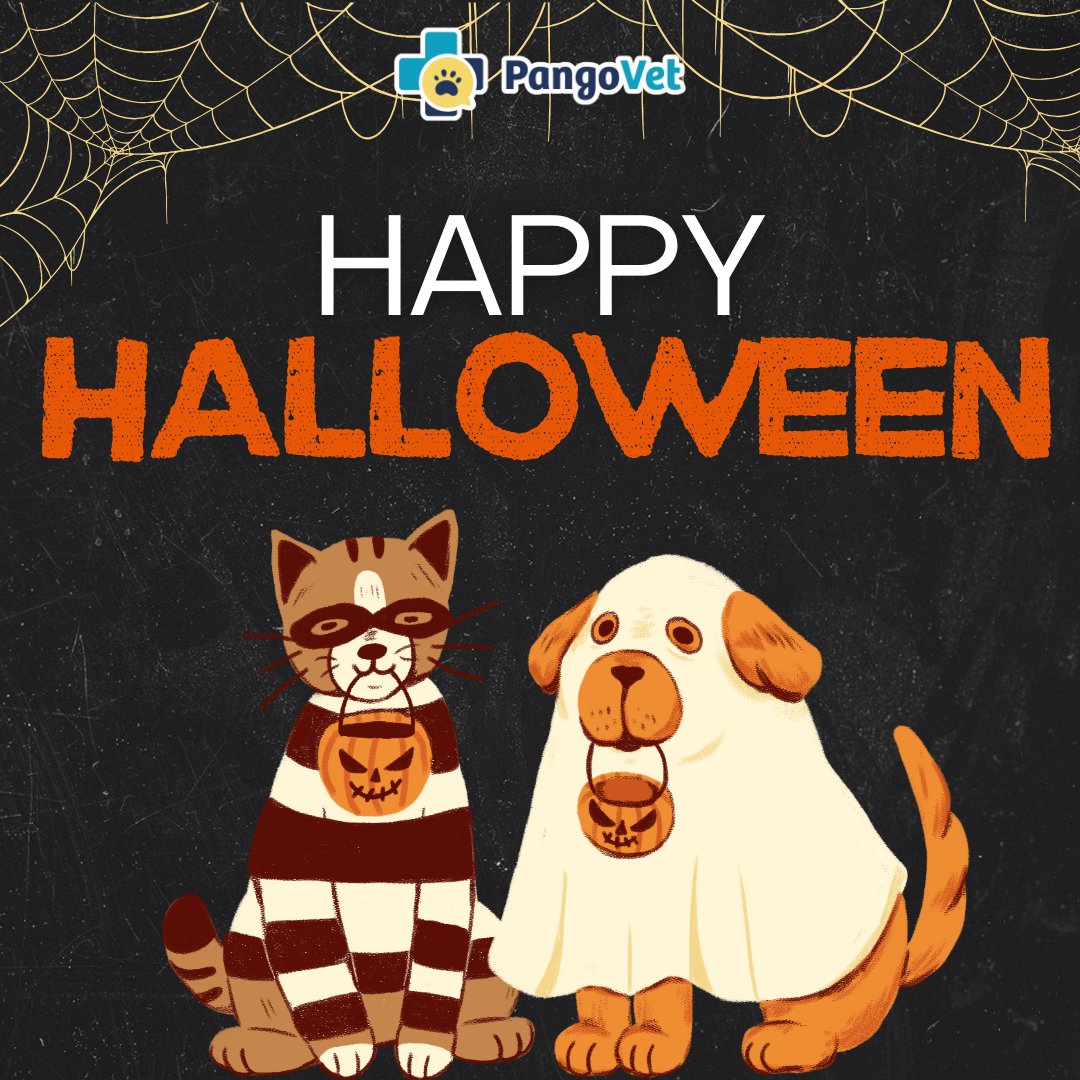 PangoVet's tweet photo. Happy Halloween! 🐾🎃

Keep your pets safe. 💛 https://t.co/jn1VL8nwQw
