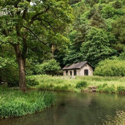 artindetails's tweet photo. — pure peace in nature’s simplicity https://t.co/3Eky3Vt5Hz