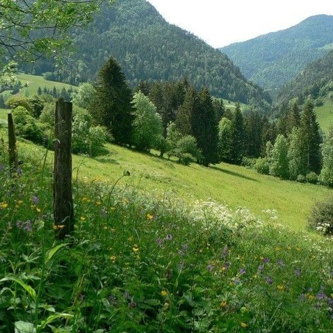 artindetails's tweet photo. — pure peace in nature’s simplicity https://t.co/3Eky3Vt5Hz