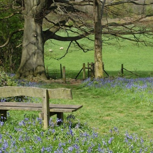artindetails's tweet photo. — pure peace in nature’s simplicity https://t.co/3Eky3Vt5Hz