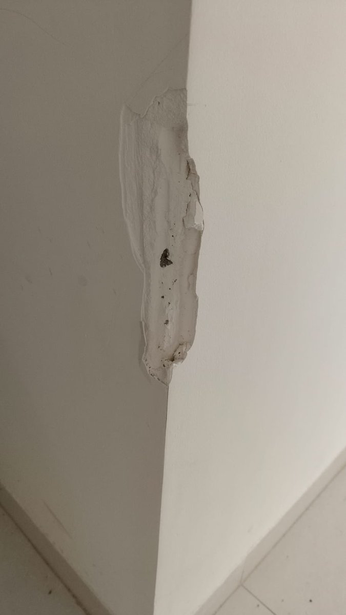 cacophonicFuss's tweet photo. @rentomojo Pune has broken my wall and denied complete accountability https://t.co/SopgZaQAvL