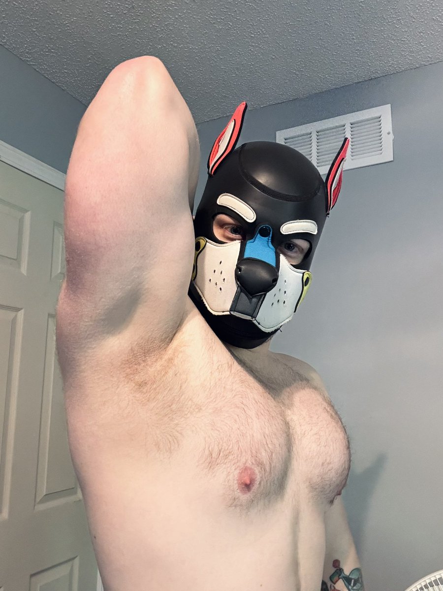 Proof I lifted heavy things today 🐾💪🏻