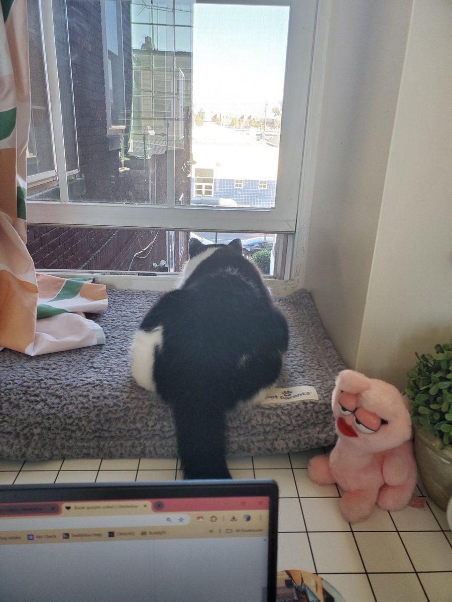 morgueline tweet media