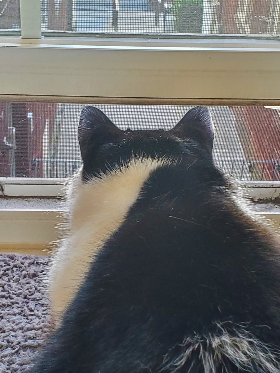 morgueline tweet media