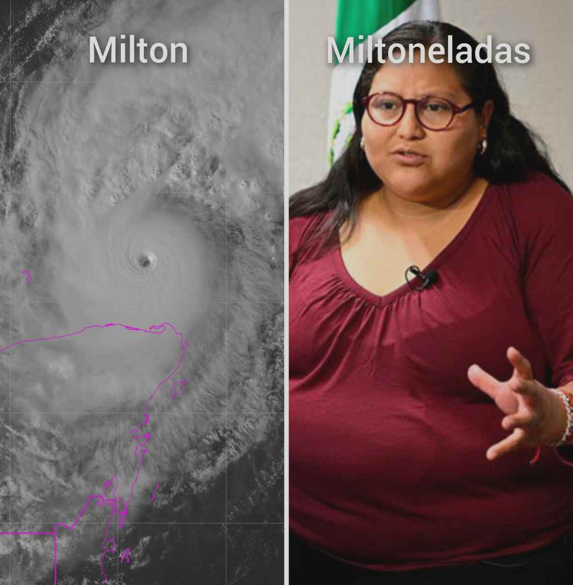 weishade's tweet image. Howdy, it's weishade on the scene