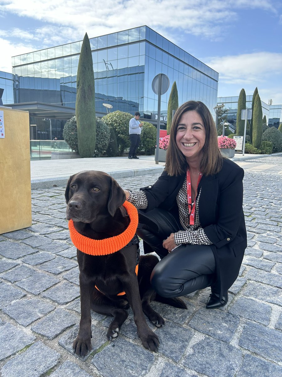 Ana L. Seisdedos tweet media