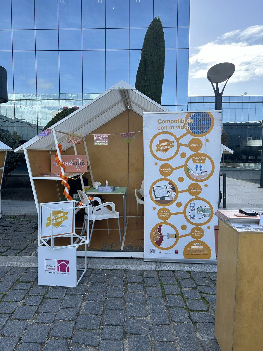 Ana L. Seisdedos tweet media