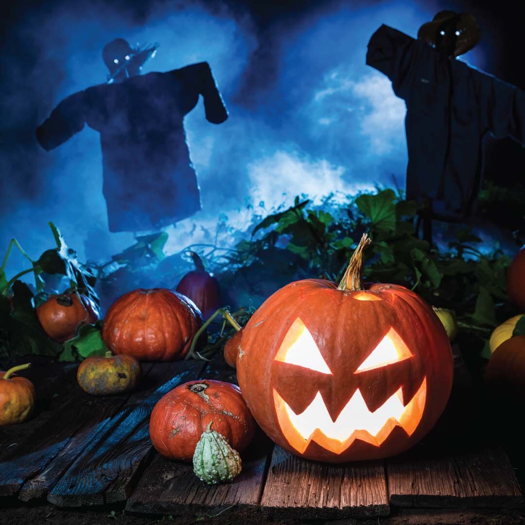 ProgenPower's tweet image. Don&apos;t be scared to call the temporary power experts in a emergency this Halloween.

#temporarypower #standby #backupgenerator #generatorhire