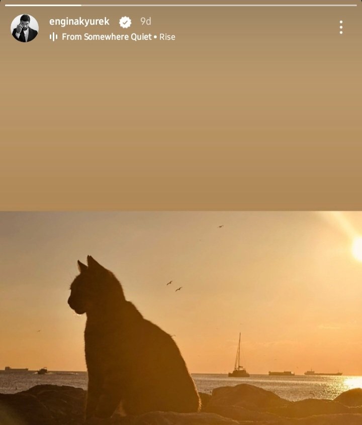 #EnginAkyürek 🐈😻❤️🤟