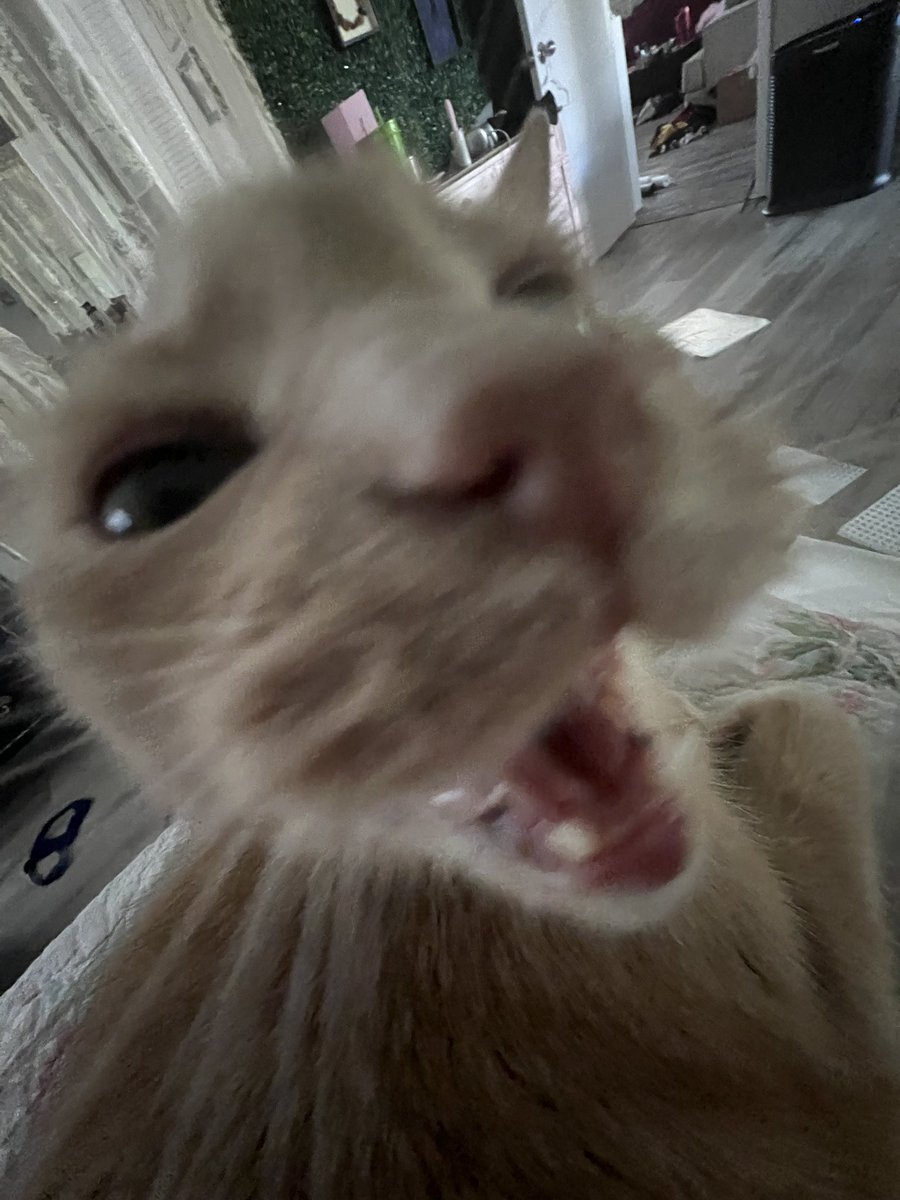 Snorlaxative tweet media