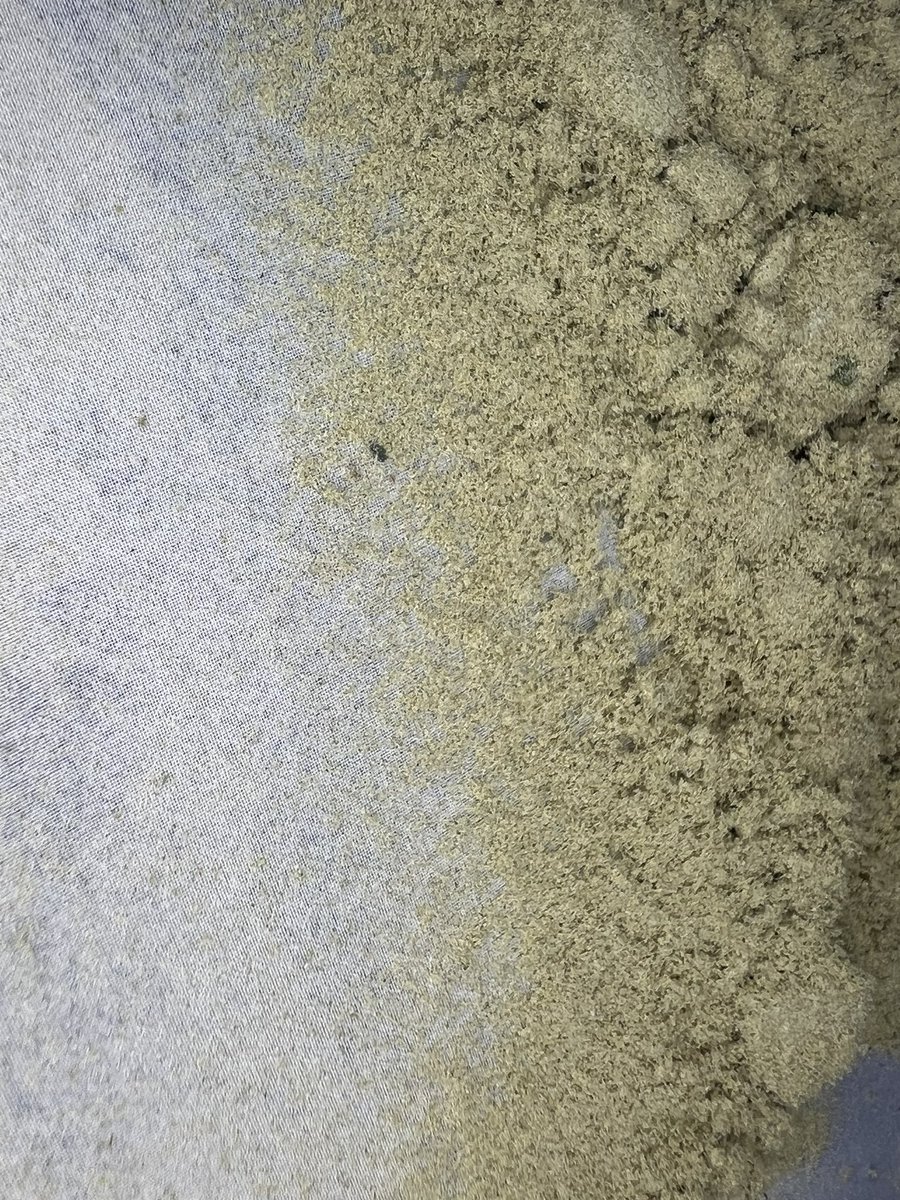 noveltygiftseed's tweet photo. Static cleaned more dry sift this morning π this one was permanent marker. Def gonna need some bigger screens and to migrate a steel table or mirror into the cold room. Popped a few balloons π during process. #diycarts #hashmaking https://t.co/jT3cIZUjR0