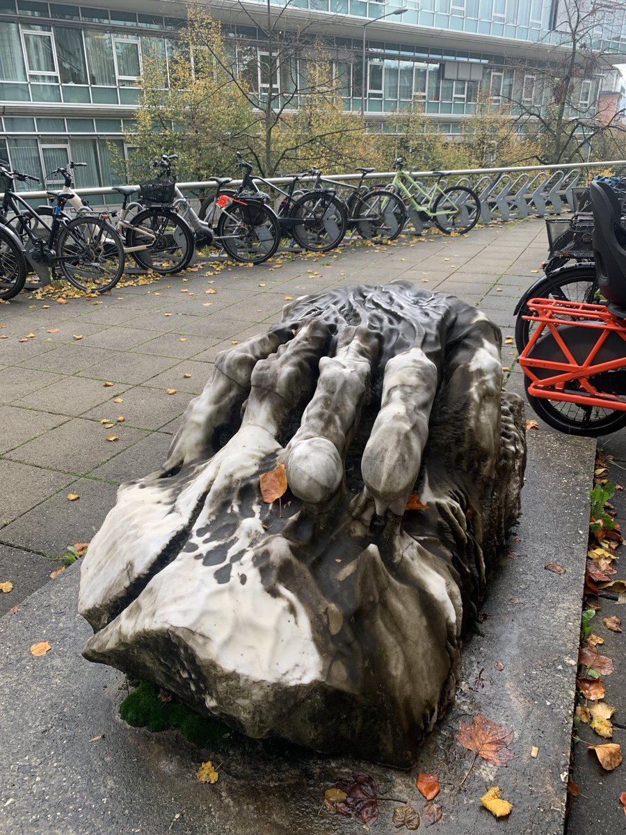 Leslie Farnsworth tweet media