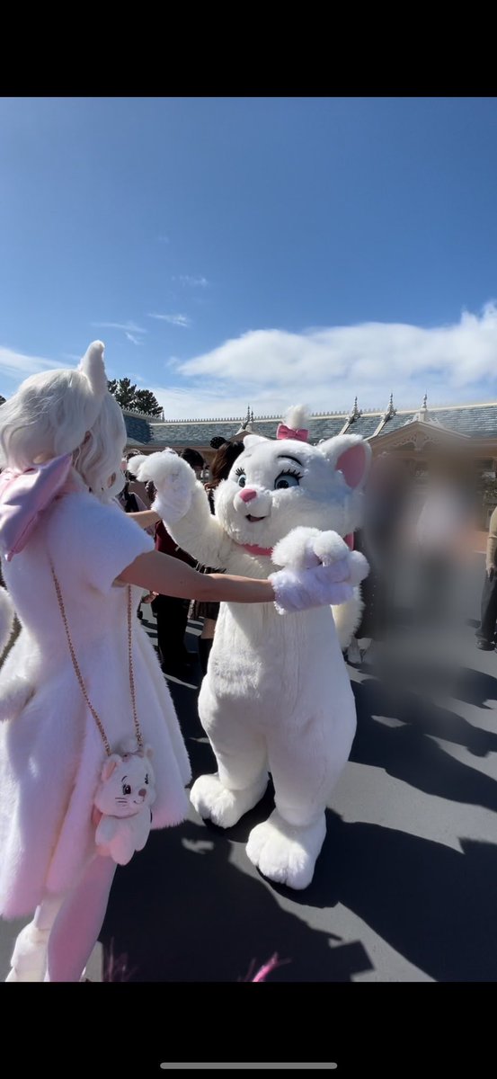 Dハロ2024、マリーちゃん💓 再々マリーちゃんなのは理由が😂 今度書