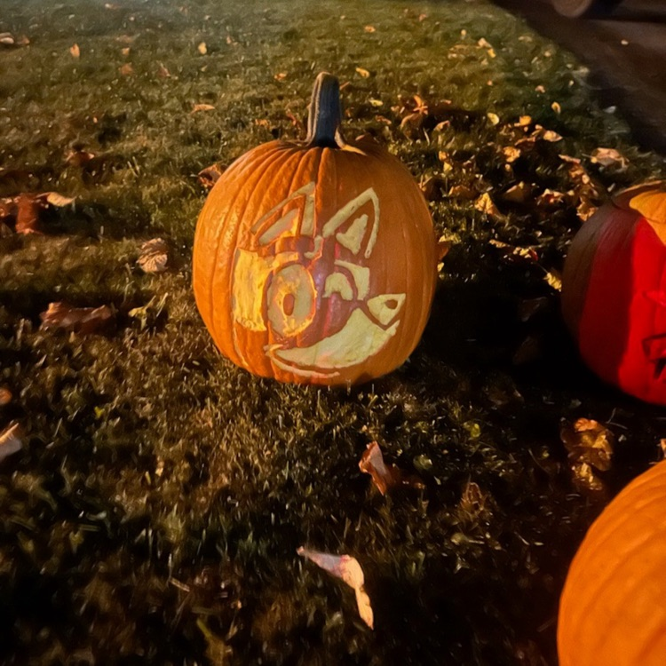BHSBigReds's tweet photo. Art pumpkin contest winners 🥇best carved- Kaylee Jenkins 🥇best painted Makayla Littell 🥇best photograph Rayne Powers 🏆Participation trophy goes to Forrest Merryman #makinghopehappen #letsgoreds https://t.co/D61ZftMlch