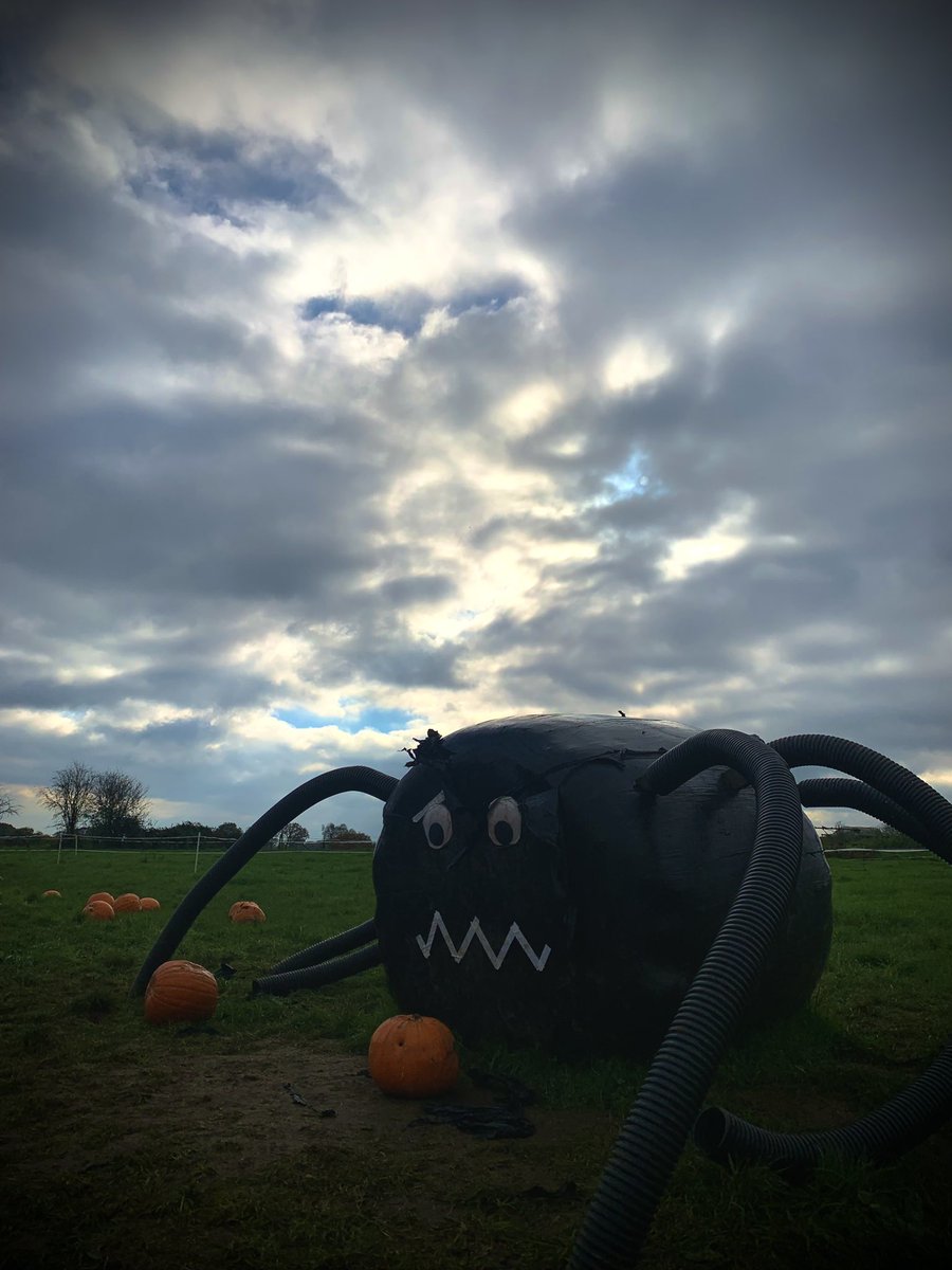 Michele Grieve tweet media