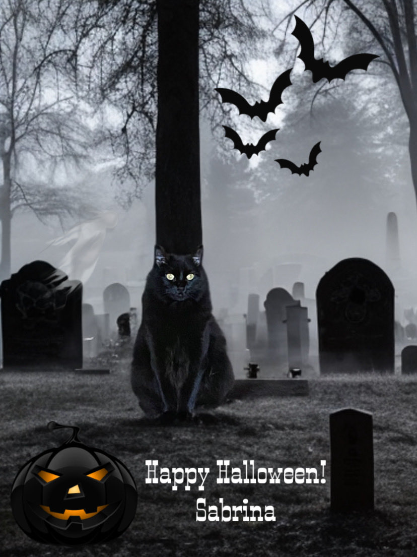 MemeCat99014509's tweet image. 🐈‍⬛Something spooky👻🪦🦇 
        Something sweet🍭🍬🍫
        Are you ready for
        Trick-or-Treat?🐈‍⬛ 

 Happy Meowolween Everypawdy!🎃
            😽🧡🖤~Sabrina
   
 #CatsOfX #CatsOfTwitter #HalloweenCats #BlackCats #BlackCatsAreAwesome #Cats #SpookyCats
