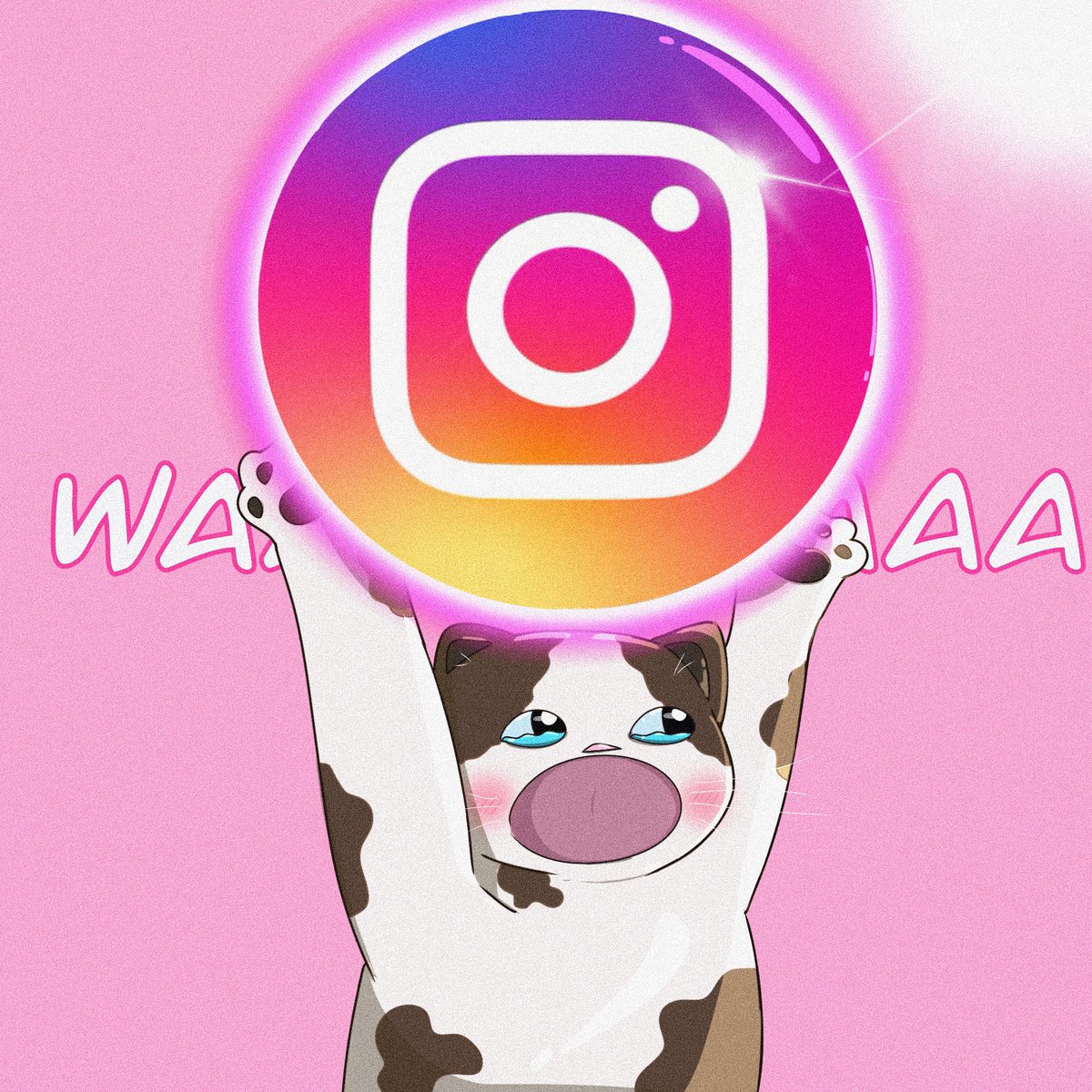 Wawa tweet media