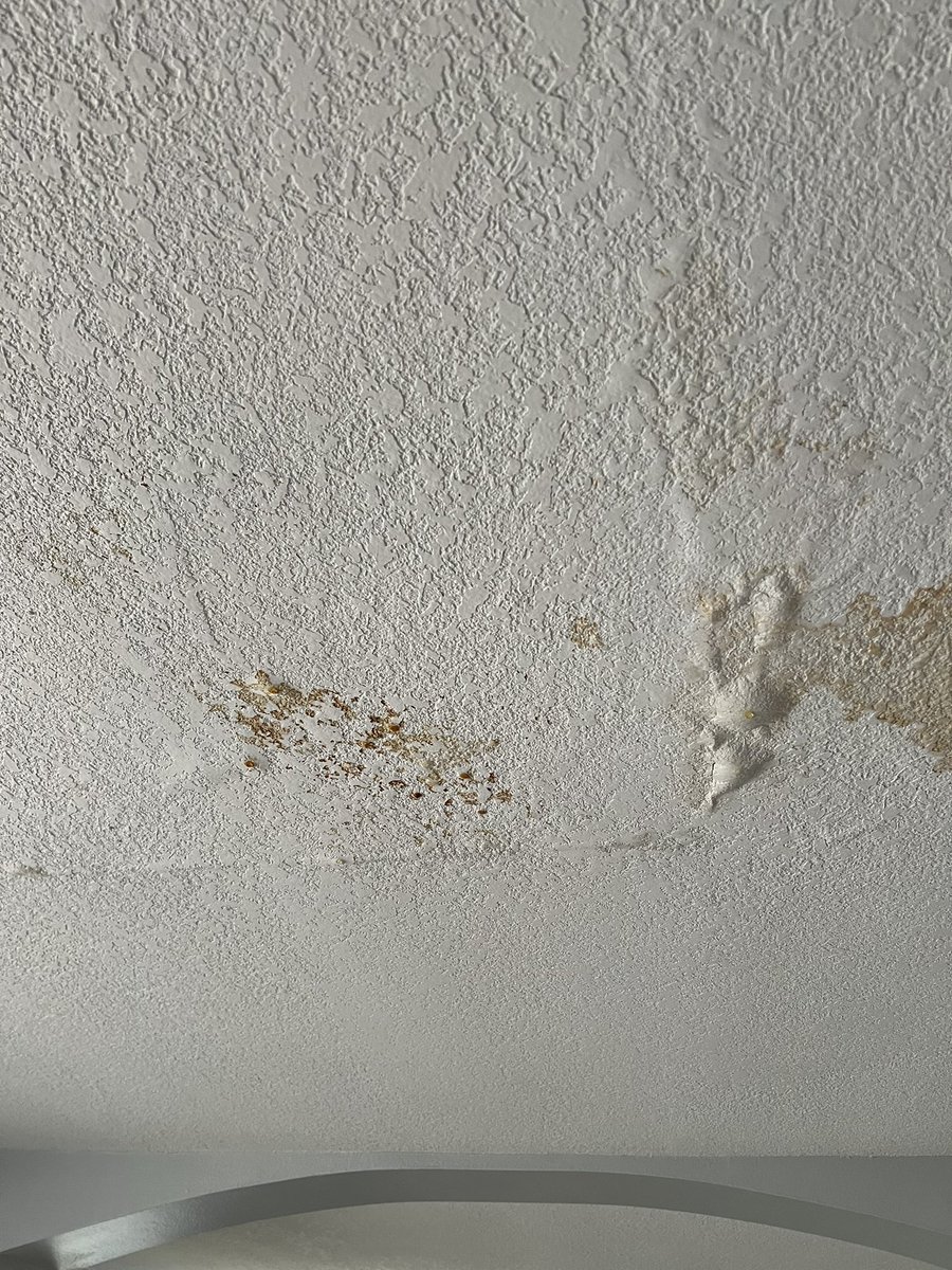 adam_hodz's tweet photo. @TeamUPCIC Amazing how Universal Property denied my claim when I have clear and obvious ceiling and roof damage. I’ll fight this until you make it right. X do your thing. #HurricaneHelene https://t.co/ZS0jREVPun