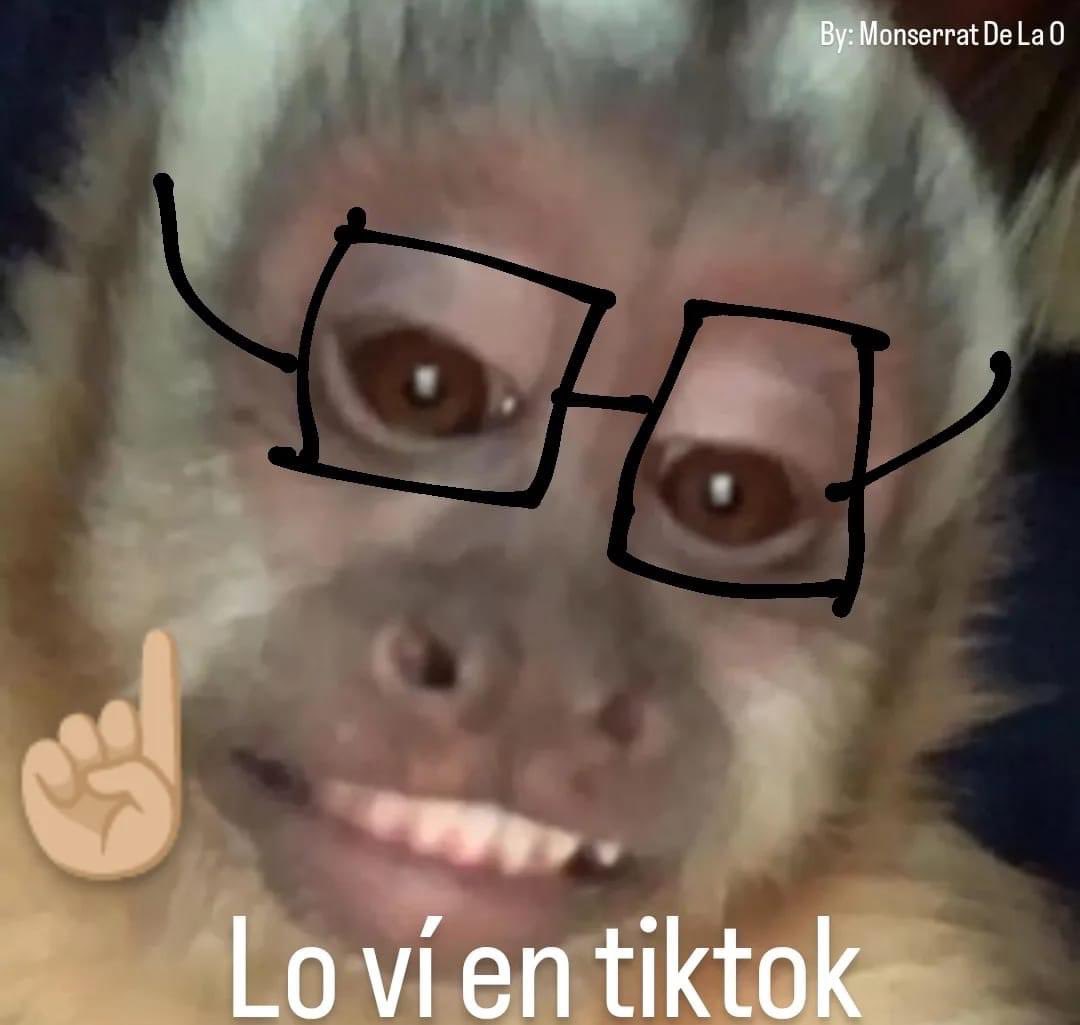 yo justificando mi conocimiento