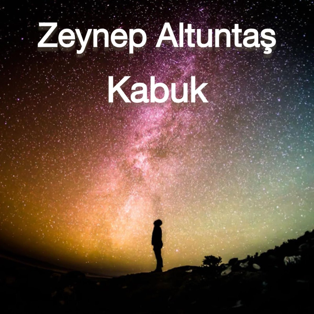 "Seçtiği zaman tamamlanmış hissedeceği yol diğeriydi ve bunun onu ne denli korkuttuğunu biliyordum."
Zeynep Altuntaş - Kabuk 
kovuk.org/goc/