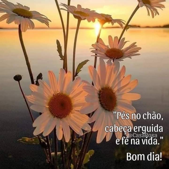 Edméia (@edmeia51) on Twitter photo 