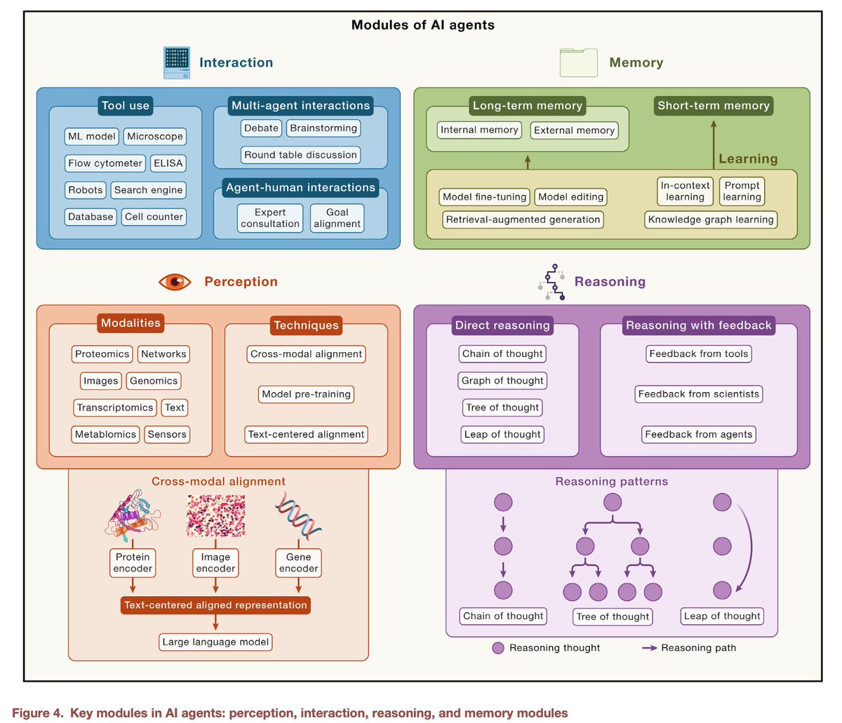 Eric Topol (@erictopol) on Twitter photo A remarkable visionary perspective for the role of #AI agents to promote discovery in life science, laid out by <a href="/marinkazitnik/">Marinka Zitnik</a> and colleagues <a href="/CellCellPress/">Cell</a>
cell.com/cell/fulltext/… <a href="/KempnerInst/">Kempner Institute at Harvard University</a> <a href="/HarvardDBMI/">DBMI at Harvard Med</a> <a href="/broadinstitute/">Broad Institute</a> A remarkable visionary perspective for the role of #AI agents to promote discovery in life science, laid out by <a href="/marinkazitnik/">Marinka Zitnik</a> and colleagues <a href="/CellCellPress/">Cell</a>
cell.com/cell/fulltext/… <a href="/KempnerInst/">Kempner Institute at Harvard University</a> <a href="/HarvardDBMI/">DBMI at Harvard Med</a> <a href="/broadinstitute/">Broad Institute</a>