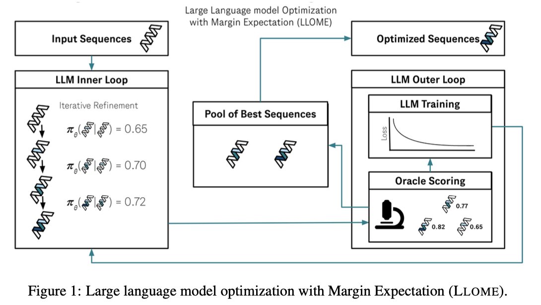 Nathan C. Frey (@nc_frey) on Twitter photo LLMs are highly constrained biological sequence optimizers. In new work led by <a href="/_angie_chen/">Angelica Chen</a> & <a href="/samuel_stanton_/">Samuel Stanton</a> , we show how to drive an active learning loop for protein design with an LLM.
1/ LLMs are highly constrained biological sequence optimizers. In new work led by <a href="/_angie_chen/">Angelica Chen</a> & <a href="/samuel_stanton_/">Samuel Stanton</a> , we show how to drive an active learning loop for protein design with an LLM.
1/