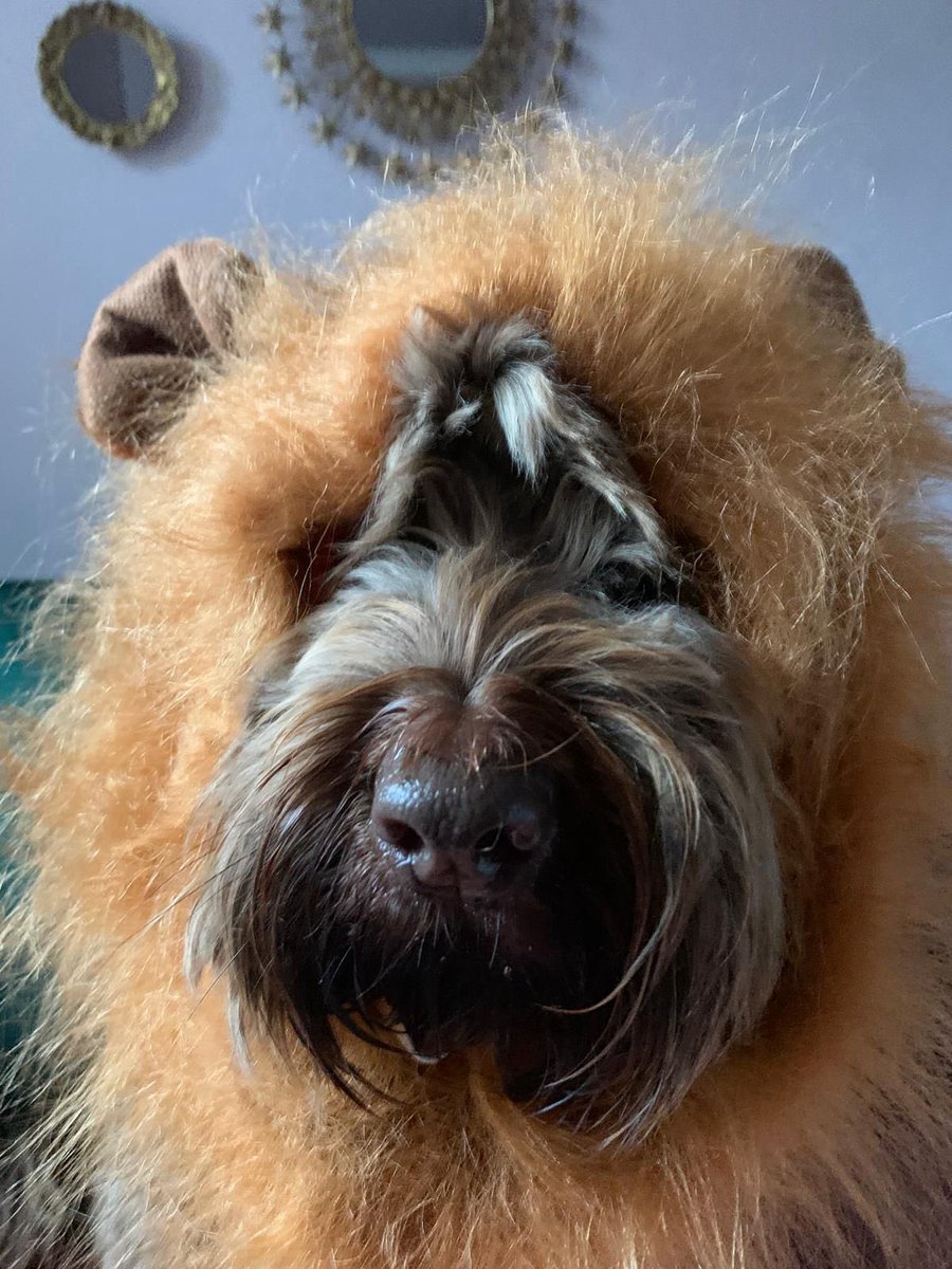 Gillian Anderson tweet media