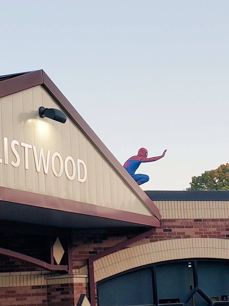 Happy Halloween from Listwood School! #dragonslovetacos 🐲🌮🎃 <a href="/WestIrondequoit/">West Irondequoit CSD</a> <a href="/Maggievay14/">Maggie Vay</a>