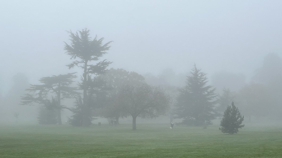 Ross Mackenzie tweet media