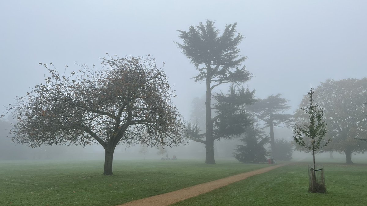 Ross Mackenzie tweet media