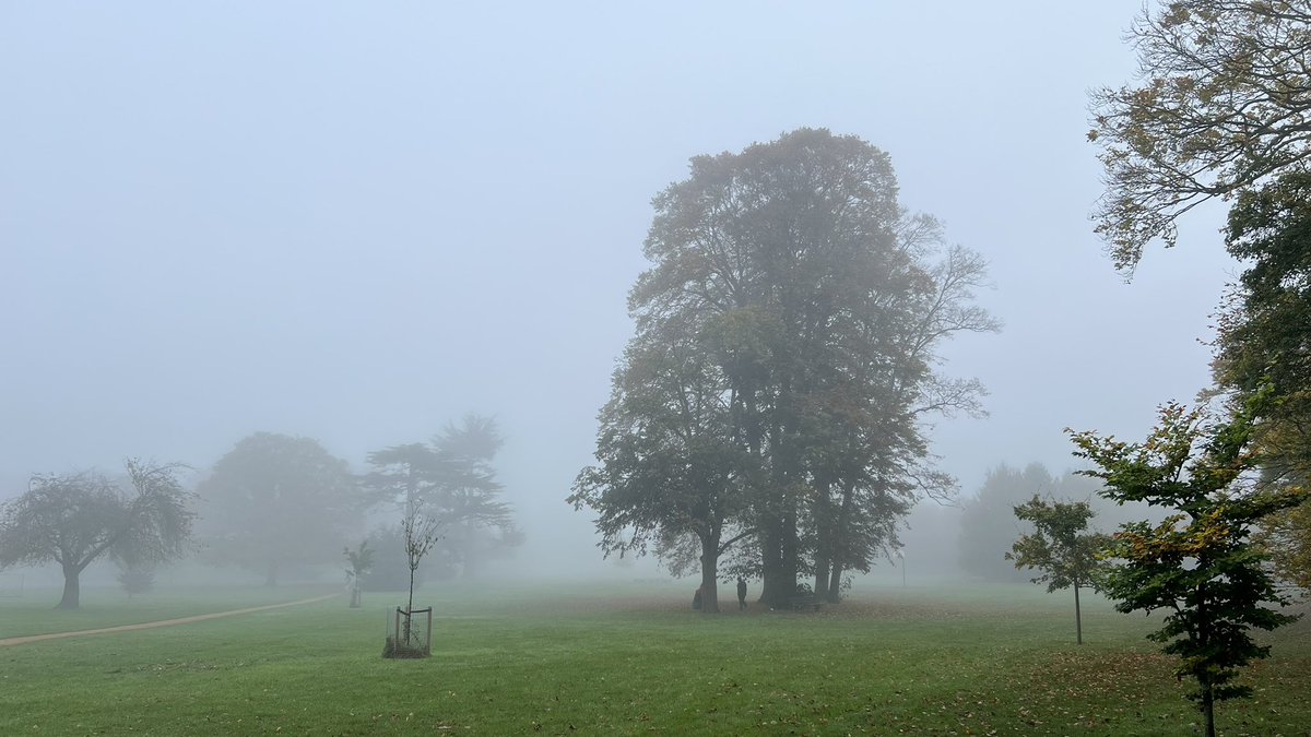 Ross Mackenzie tweet media