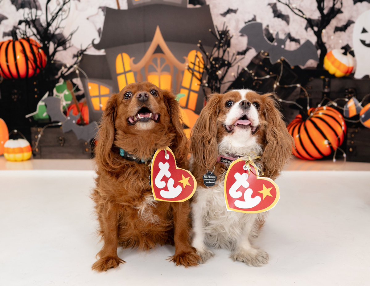 Happy HowlOWeen #cavpack