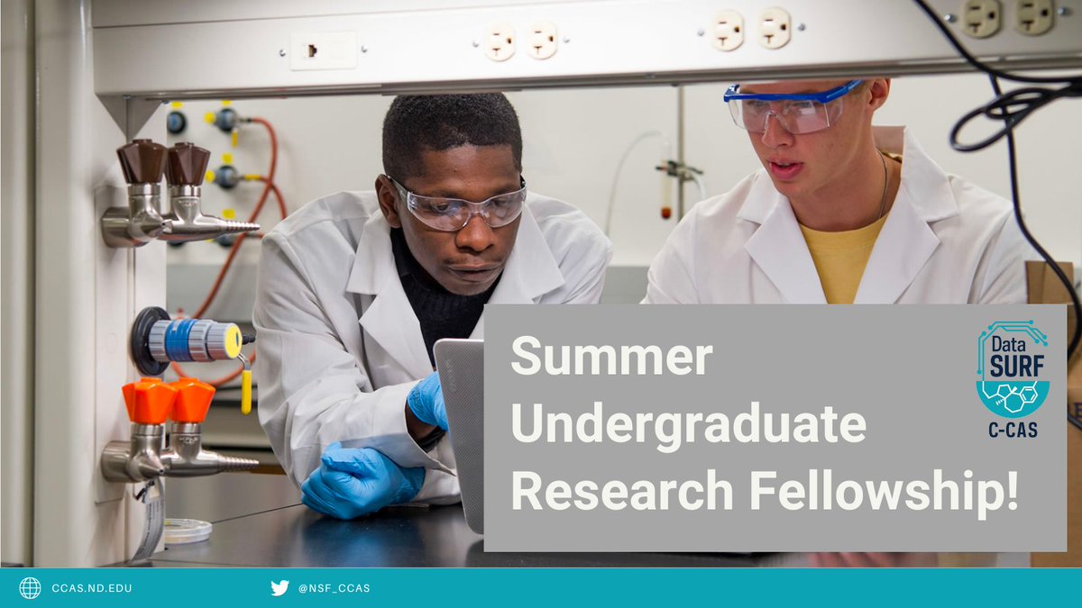 NSF Center for Computer Assisted Synthesis (@nsf_ccas) on Twitter photo Get ready!  The application for our 2025 Summer Undergraduate Research Fellowship program opens on Tuesday, Nov 5.  More information can be found at ccas.nd.edu/outreach/
#summerfellowship #Science #NSFFunded #undergraduate #research #Chemistry #datascience Get ready!  The application for our 2025 Summer Undergraduate Research Fellowship program opens on Tuesday, Nov 5.  More information can be found at ccas.nd.edu/outreach/
#summerfellowship #Science #NSFFunded #undergraduate #research #Chemistry #datascience