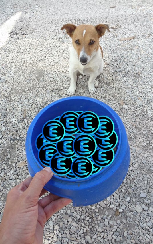 TANGO (@tangojrt) on Twitter photo Back again with the tasty treats on #FTM
128% APR at <a href="/Equalizer0x/">Equalizer π₯</a>
165% APY at <a href="/farm_matrix/">Matrix Farm ππ»</a>
Get stuck into the bowl doggos! Back again with the tasty treats on #FTM
128% APR at <a href="/Equalizer0x/">Equalizer π₯</a>
165% APY at <a href="/farm_matrix/">Matrix Farm ππ»</a>
Get stuck into the bowl doggos!